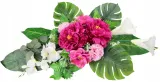 stroik-elegant-90-amarant