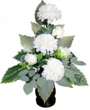 chryzantema-krem-stroik-bukiet-h1-wysokosc-40-cm