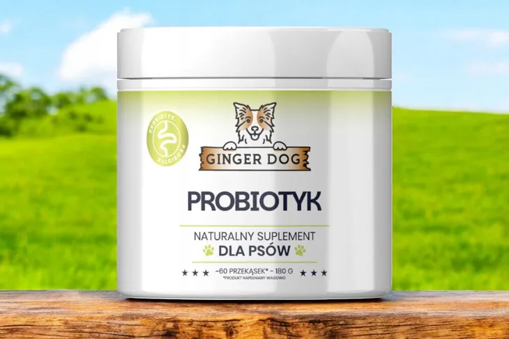ginger-dog-probiotyk-60-przekasek-postac-kaski