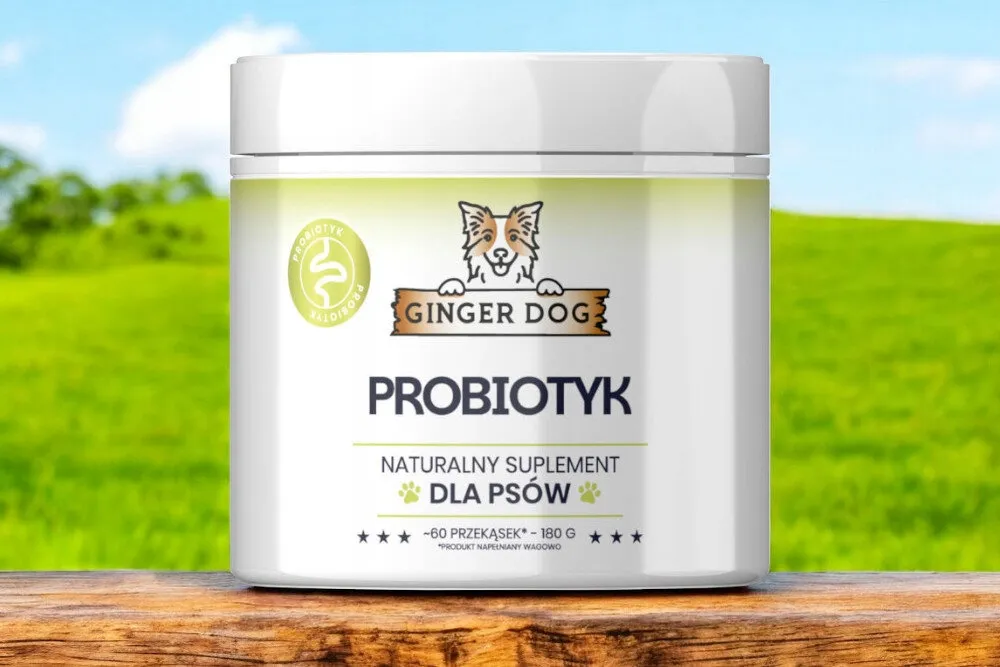 ginger-dog-probiotyk-60-przekasek-marka-bez-marki