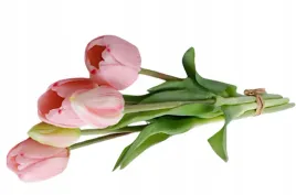 tulipany-gumowane-x-5-38cm-rozowe
