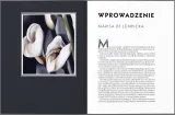 tamara-lempicka-projekt-artystka-wydawnictwo-bosz