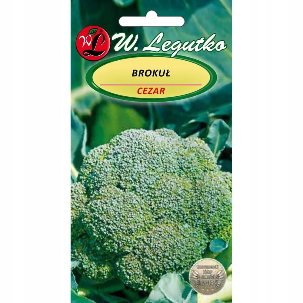 Grafika w opisie produktu