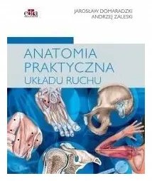 anatomia-praktyczna-uklad-ruchu-a-zaleski