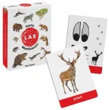 karty-montessori-las-maja-dusik