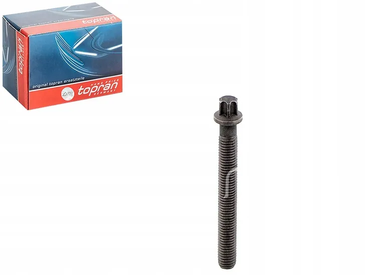 sruba-torx-kola-pasowego-walu-bmw-e38-e39-e46-e53-e60-e61-e63-e65-e70-e83-numer-katalogowy-czesci-503-132