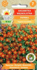 aksamitka-paprika-zolto-czerwone-kwiaty-05g