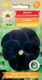 bratek-wielkokwiatowy-czarny
