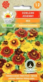 dzielzan-jesienny-wabi-pszczoly-miododajny-01g