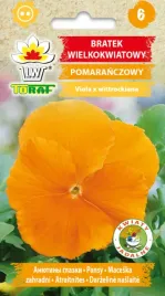 bratek-wielkokwiatowy-pomaranczowy