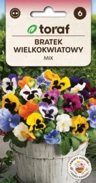 bratek-wielkokwiatowy-w-mieszance-kolorow