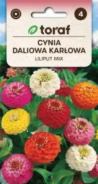 cynia-daliowa-liliput-karlowa-mix-kolorow-05g