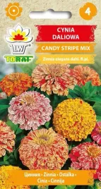 cynia-daliowa-candy-stripe-w-fantazyjne-paski-1g