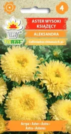 aster-ksiazecy-aleksandra-zolty-piekny-1g