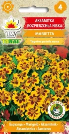 aksamitka-marietta-obficie-i-dlugo-kwitnie-1g