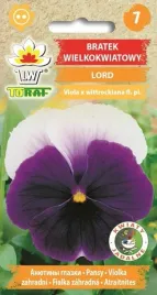 bratek-lord-wielkokwiatowy-dwukolorowy-02g