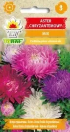 aster-chryzantemowy-wysoki-mieszanka-kolorow-1g