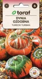 dynia-ozdobna-turecki-turban-ladne-ozdobne