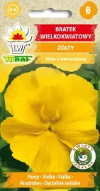 bratek-wielkokwiatowy-zolty-kwiaty-02g