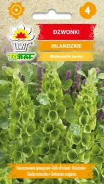 dzwonki-irlandzkie-molucella-05g-toraf
