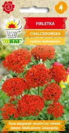 firletka-chalcedonska-bylina-piekne-kwiaty-05g-toraf