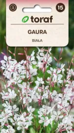 gaura-biala-atrakcyjna-bylina-do-100cm-05g
