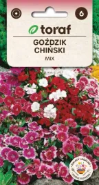gozdzik-chinski-mieszanka-ciekawe-roznobarwne