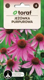 jezowka-purpurowa-cenna-bylina-1g