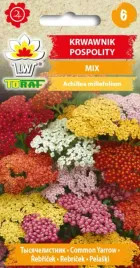 krwawnik-pospolity-piekny-mix-kolorow-bylina-02g