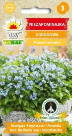 niezapominajka-niebieska-do-ogrodu-i-doniczek-03g