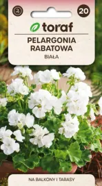 pelargonia-rabatowa-biala-f2-005g-toraf