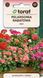pelargonia-rabatowa-mix-kolorow-na-balkony