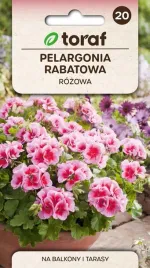 pelargonia-rabatowa-rozowa-f2-005g-toraf