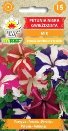 petunia-gwiezdzista-sliczne-na-balkon-taras-ogrod