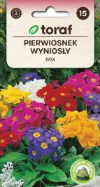pierwiosnek-wyniosly-prymulka-mix-kolorow-01g
