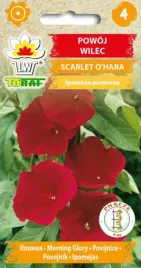 powoj-wilec-scarlet-o-hara-piekny-kolor-2g