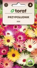 przypoludnik-mix-kolorow-kwiaty-4-6cm-05g
