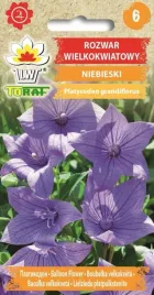 rozwar-wielokwiatowy-niebieski