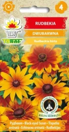 rudbekia-dwubarwna-ladne-kwiaty-na-bukiety