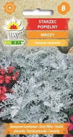 starzec-mrozy-zabkowane-na-kazda-glebe-02g-toraf