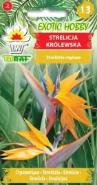 strelicja-krolewska-rajski-ptak-domowa-5szt