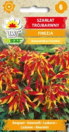 szarlat-trojbarwny-finezja-piekne-rosliny-do-ogrodu