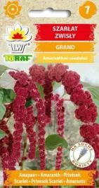 szarlat-zwisly-grand-swietne-lisie-ogony