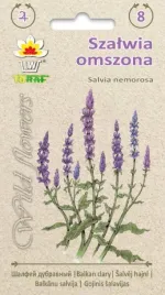 szalwia-omszona-fioletowa-ozdobna-bylina-miododajna-02g-toraf