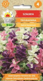 szalwia-trojbarwna-obficie-kwitnaca-05g-toraf