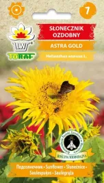 slonecznik-ozdobny-astra-gold-urocze-postrzepione-platki-1g-toraf