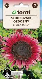 slonecznik-ozdobny-cherry-queen-wyjatkowy-2g