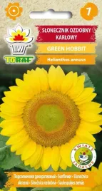 slonecznik-ozdobny-green-hobbit-karlowy-1g