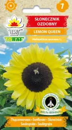 slonecznik-ozdobny-lemon-queen-2g-toraf