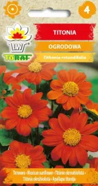 titonia-okazale-pomaranczowe-kwiaty-05g